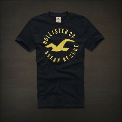 Hollister Men Shirts-368